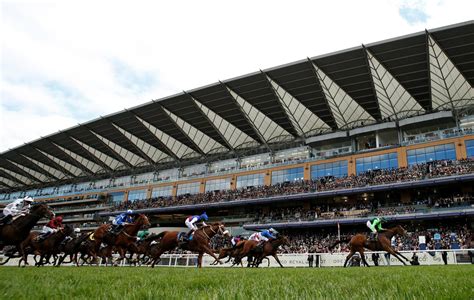 today's placepot results|irish racing results today.